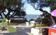 The Boatramp Cafe - thumb 0