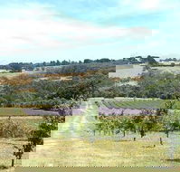 Main Ridge Harvest - Gold Coast 4U