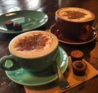 The Chocolate Labrador - 1 Gold Coast