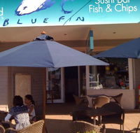 Cornell's Blue Fin - Accommodation Gold Coast