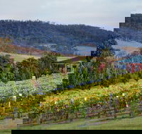 De Bortoli Winery  Restaurant - Accommodation Gold Coast