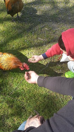 Glen Logan Restaurant - Accommodation Gold Coast 0