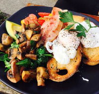 Moons espresso bar - Gold Coast 4U
