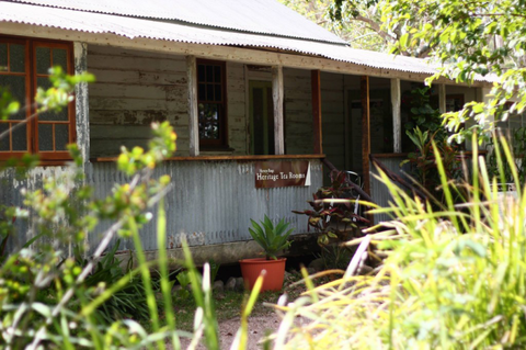Herveys Range Heritage Tea Rooms - Gold Coast 4U 12
