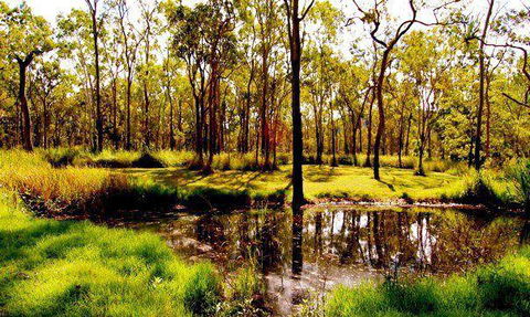 Herveys Range Heritage Tea Rooms - Gold Coast 4U 3