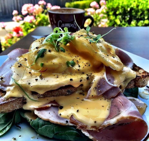 The Colonist - 1 Gold Coast 13