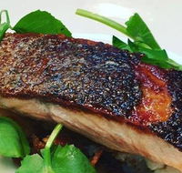 The Shaggy Cow - Accommodation Gold Coast