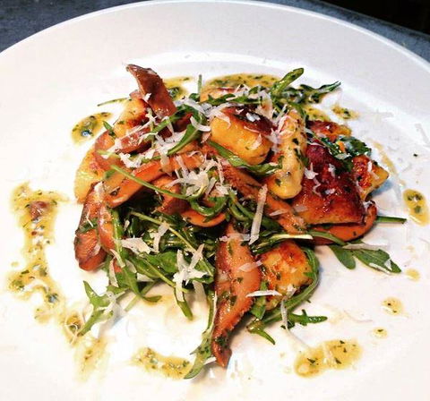 The Shaggy Cow - Gold Coast 4U 7