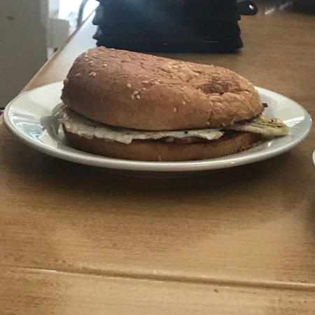 Chooky's Roost - Accommodation Gold Coast 0