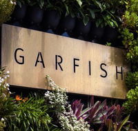 Garfish - Accommodation Gold Coast