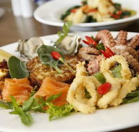 Seahorse - Accommodation Gold Coast