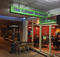 Thai Elephant - Accommodation Gold Coast