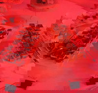 Belicious Indian Restaurant - Accommodation Gold Coast