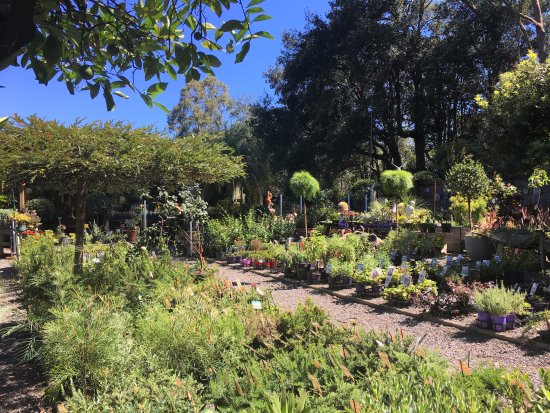 Yatte Yattah NSW Accommodation Gold Coast