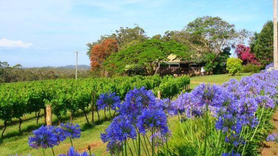 Port Macquarie NSW Accommodation Gold Coast