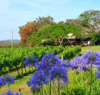 Little Fish Cafe - Accommodation Gold Coast