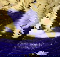 Leumeah Pizza - Accommodation Gold Coast