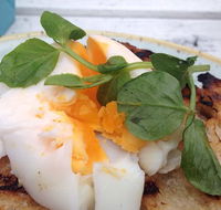 Clovelly Hotel - Gold Coast 4U