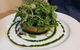 Wattle Cafe - thumb 0