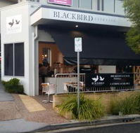 Blackbird Espresso - Accommodation Gold Coast