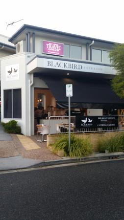 Blackbird Espresso - Accommodation Gold Coast 0
