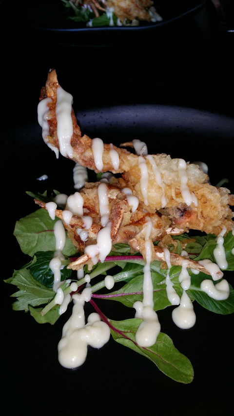 Chilli Orange - Accommodation Gold Coast 5