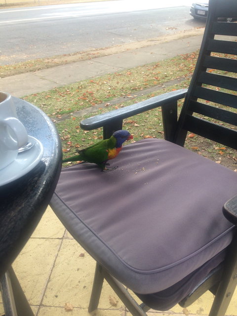 Julie's At The Rectory - Accommodation Gold Coast 4