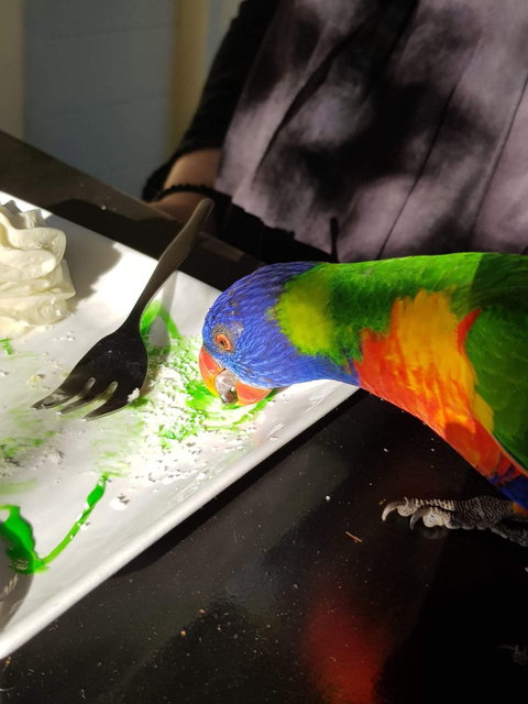 Julie's At The Rectory - Accommodation Gold Coast 6