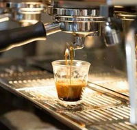 Black Bear Cafe - Accommodation Gold Coast
