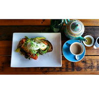 The Purple Carrot - Accommodation Gold Coast