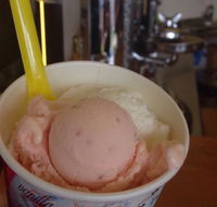 Bermagui Gelati Clinic - Accommodation Gold Coast