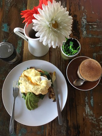 Dark Horse Coffee - Accommodation Gold Coast 0