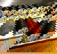 Freewave Sushi  Burgers - Gold Coast 4U