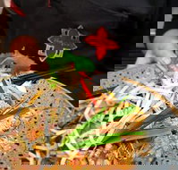 Thai Square Springwood