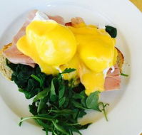 The Point Cafe - Gold Coast 4U