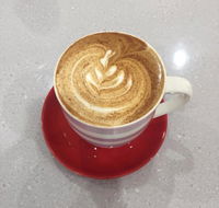 CottonWool Crema - Gold Coast 4U