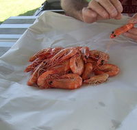 Ballina Fishermen's Co-op - Gold Coast 4U