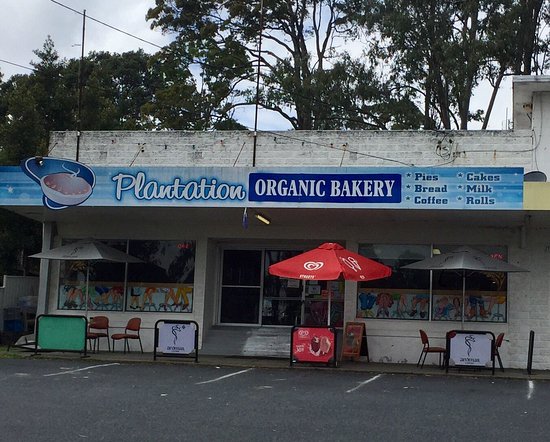 Tyndale NSW Gold Coast 4U