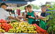 Newrybar Farmers Market - thumb 0