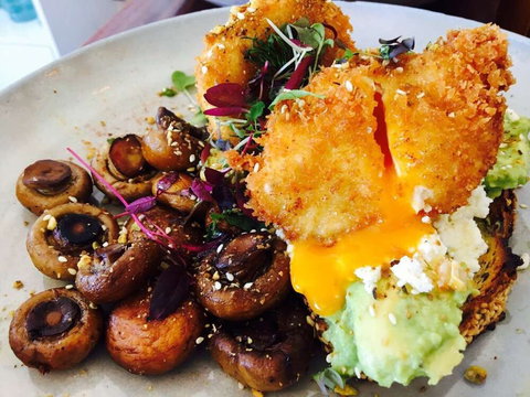 The Colonel's Son - Accommodation Gold Coast 0