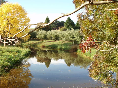 Cradle Coast Olives - Gold Coast 4U 0