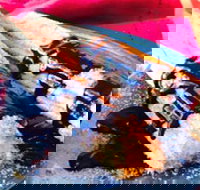 Donut King - Frankston - Accommodation Gold Coast