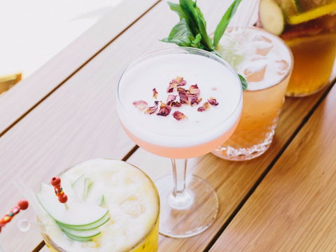 Opera Bar - Accommodation Gold Coast 1