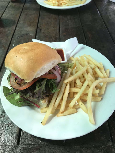 Queen Bee Cafe - Accommodation Gold Coast 0