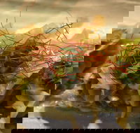 Tarana Indian Restaurant - Accommodation Gold Coast