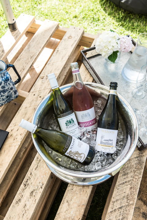 Tulloch Wines - Accommodation Gold Coast 1
