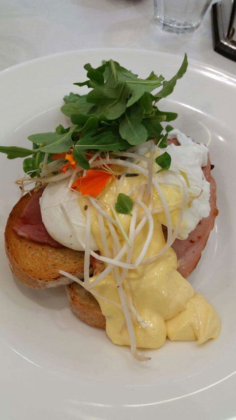 Vida Espresso - Gold Coast 4U 0