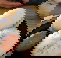 Big Bun - Accommodation Gold Coast