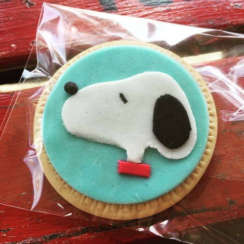 Curl The Whisker Cafe - Accommodation Gold Coast 0