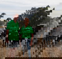 Milawa Organic Beef - Gold Coast 4U